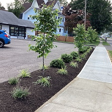Privacy-Screen-Planting-Bed-Installation-in-Stratford-CT 7